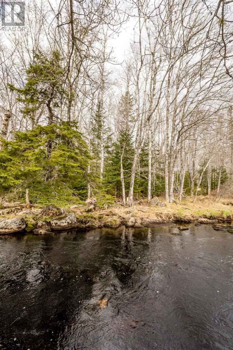 Lot 2021 Butler Road, Murphy Lake, Nova Scotia  B4N 3V8 - Photo 11 - 202510405