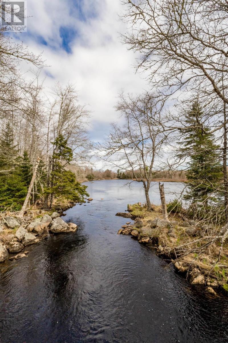 Lot 2021 Butler Road, Murphy Lake, Nova Scotia  B4N 3V8 - Photo 5 - 202510405
