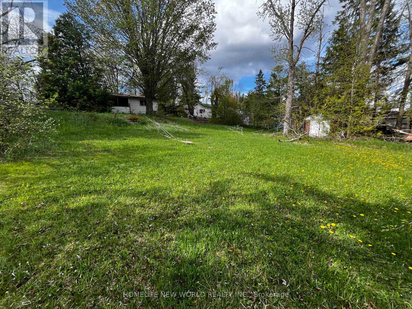 1288 Portage Road, Kawartha Lakes, Ontario  K0M 2B0 - Photo 12 - X12123122