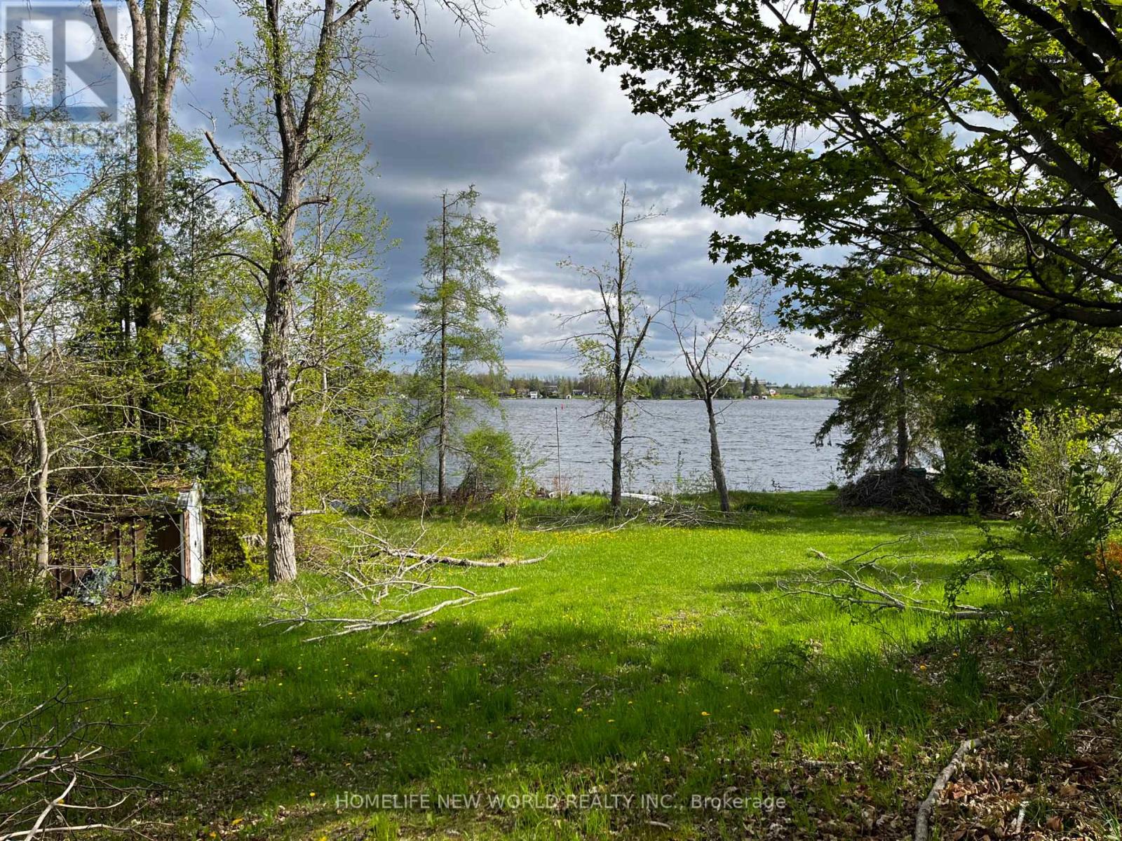 1288 Portage Road, Kawartha Lakes, Ontario  K0M 2B0 - Photo 5 - X12123122
