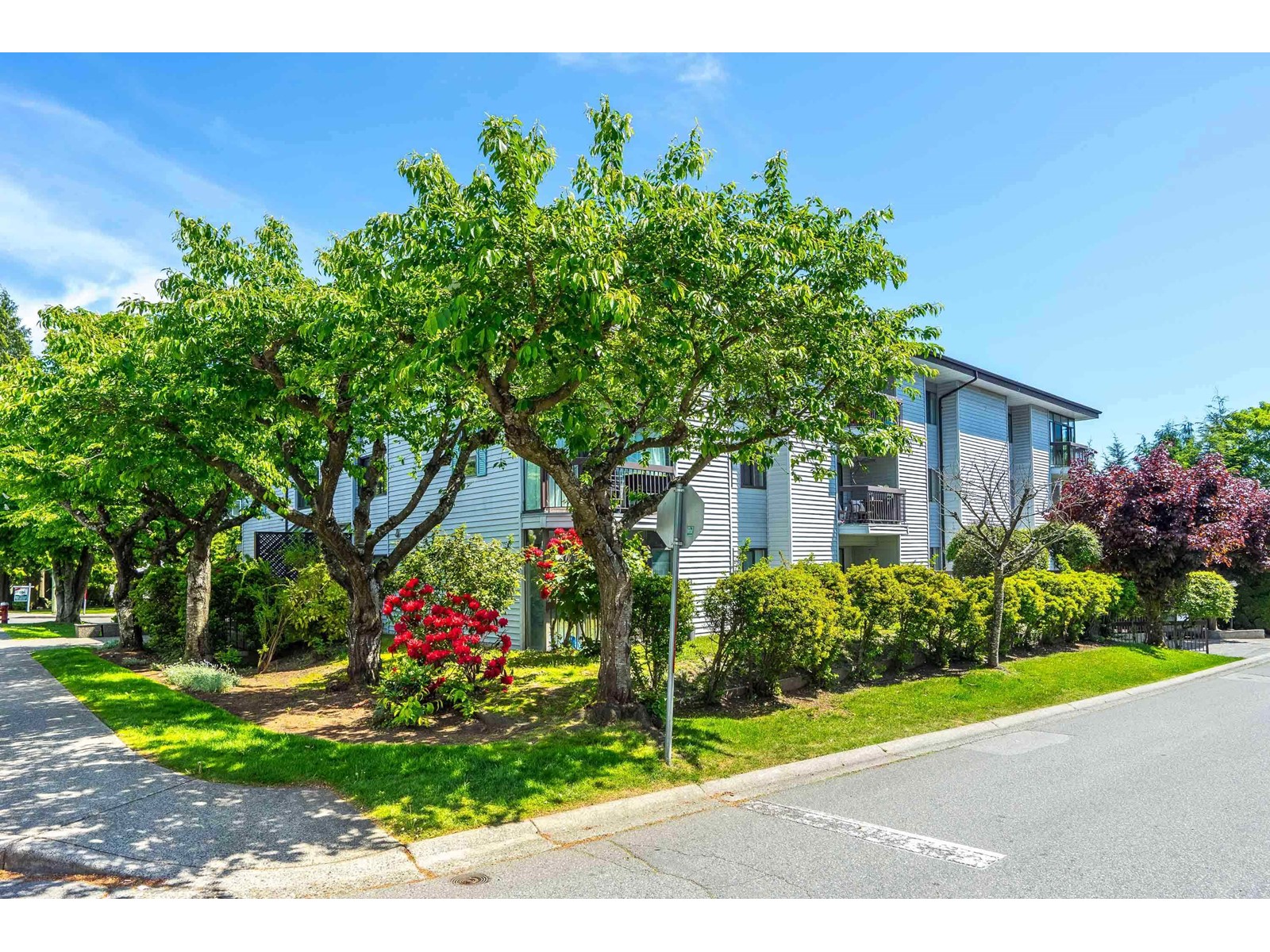 102 15290 Thrift Avenue, White Rock, British Columbia  V4B 2L2 - Photo 1 - R3002253