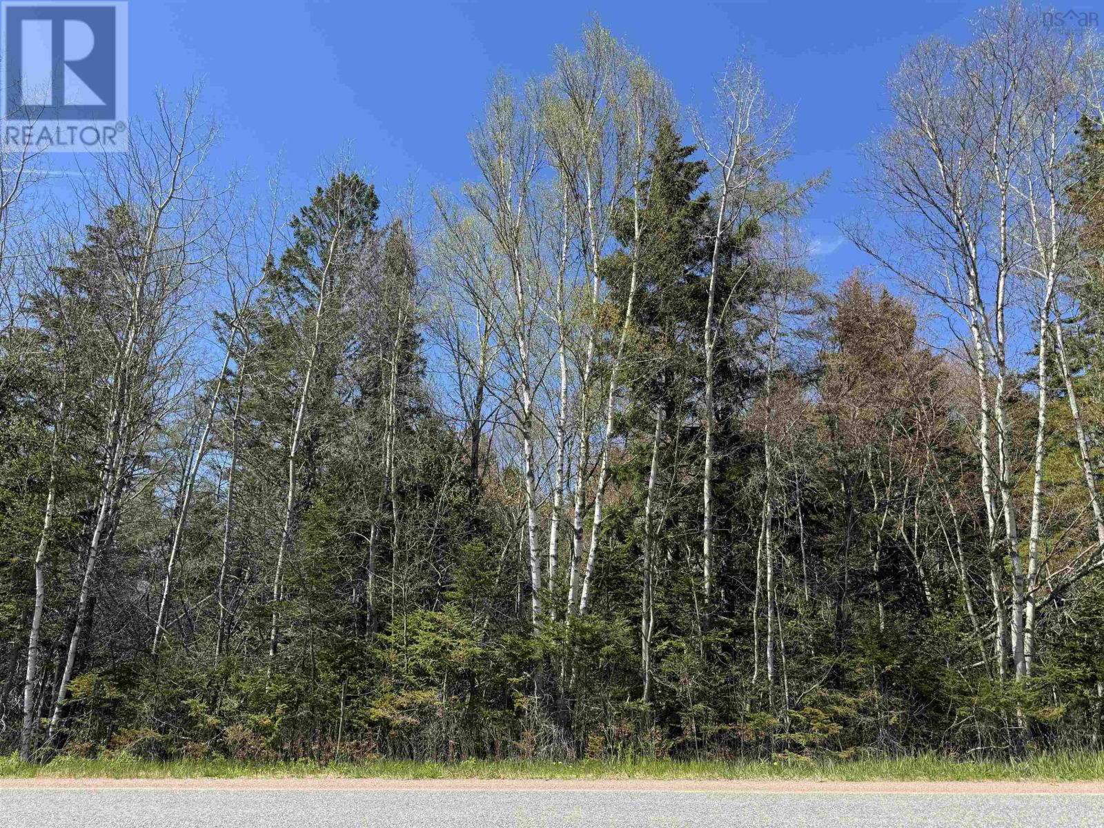 Lot 4 Highway 509, Lower Maccan, Nova Scotia  B0L 1B0 - Photo 1 - 202510964
