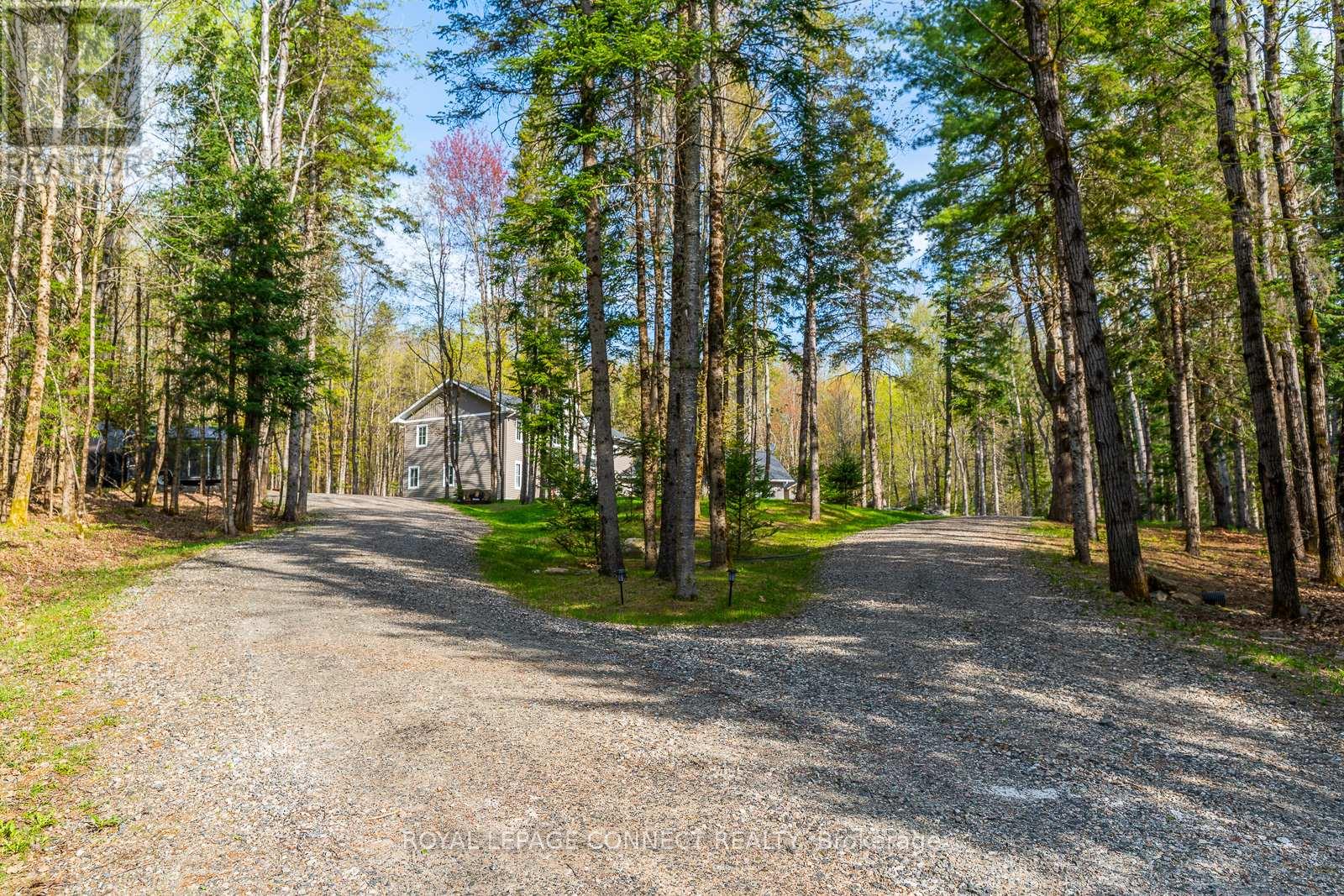 63 Bayshore Road, Dysart Et Al, Ontario  K0M 1S0 - Photo 8 - X12147610