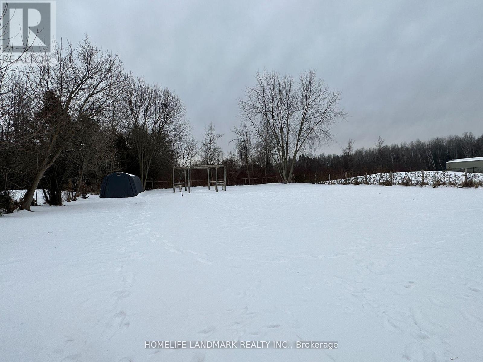 9765 Morning Glory Road, Georgina, Ontario  L0E 1N0 - Photo 12 - N12147833