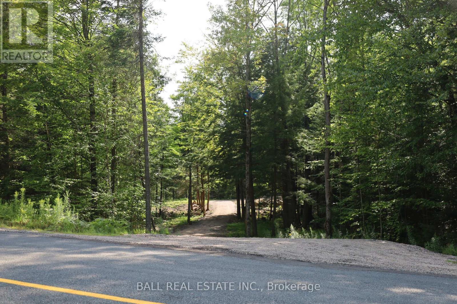 0 Ingoldsby Road, Minden Hills, Ontario  K0M 2K0 - Photo 20 - X9258569