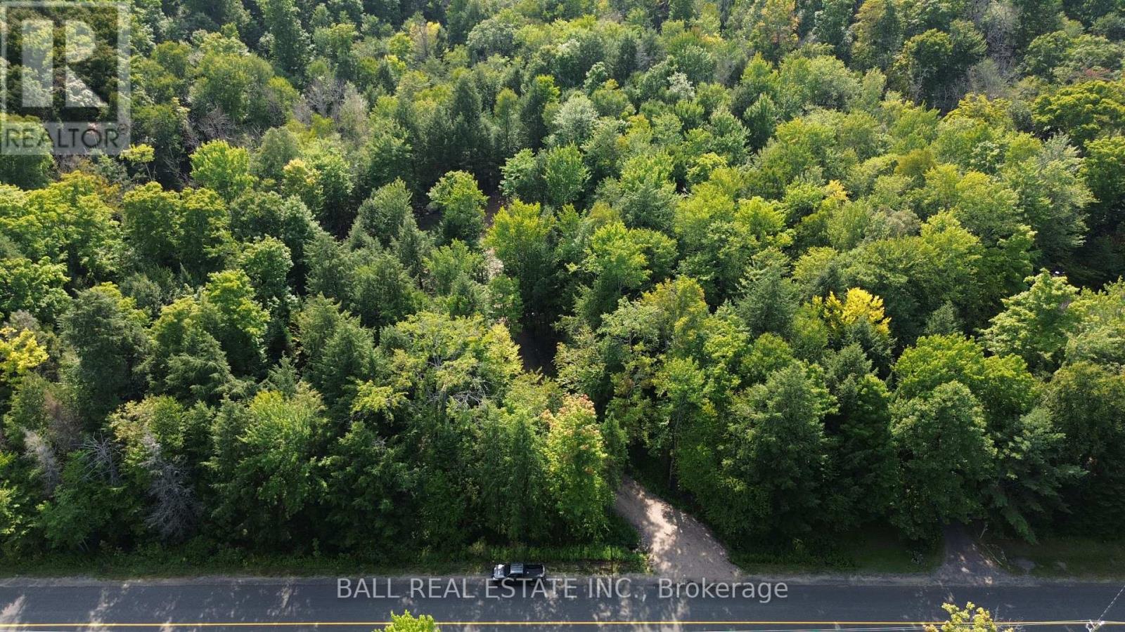 0 Ingoldsby Road, Minden Hills, Ontario  K0M 2K0 - Photo 21 - X9258569