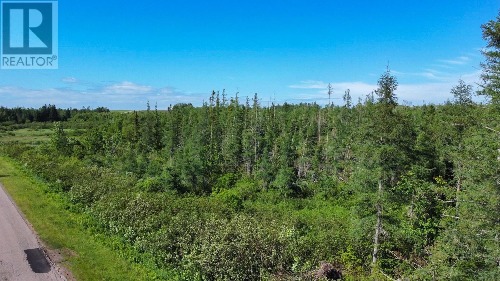 Acreage Strathcona Road, Forest Hill, Prince Edward Island  C0A 1G0 - Photo 13 - 202510978