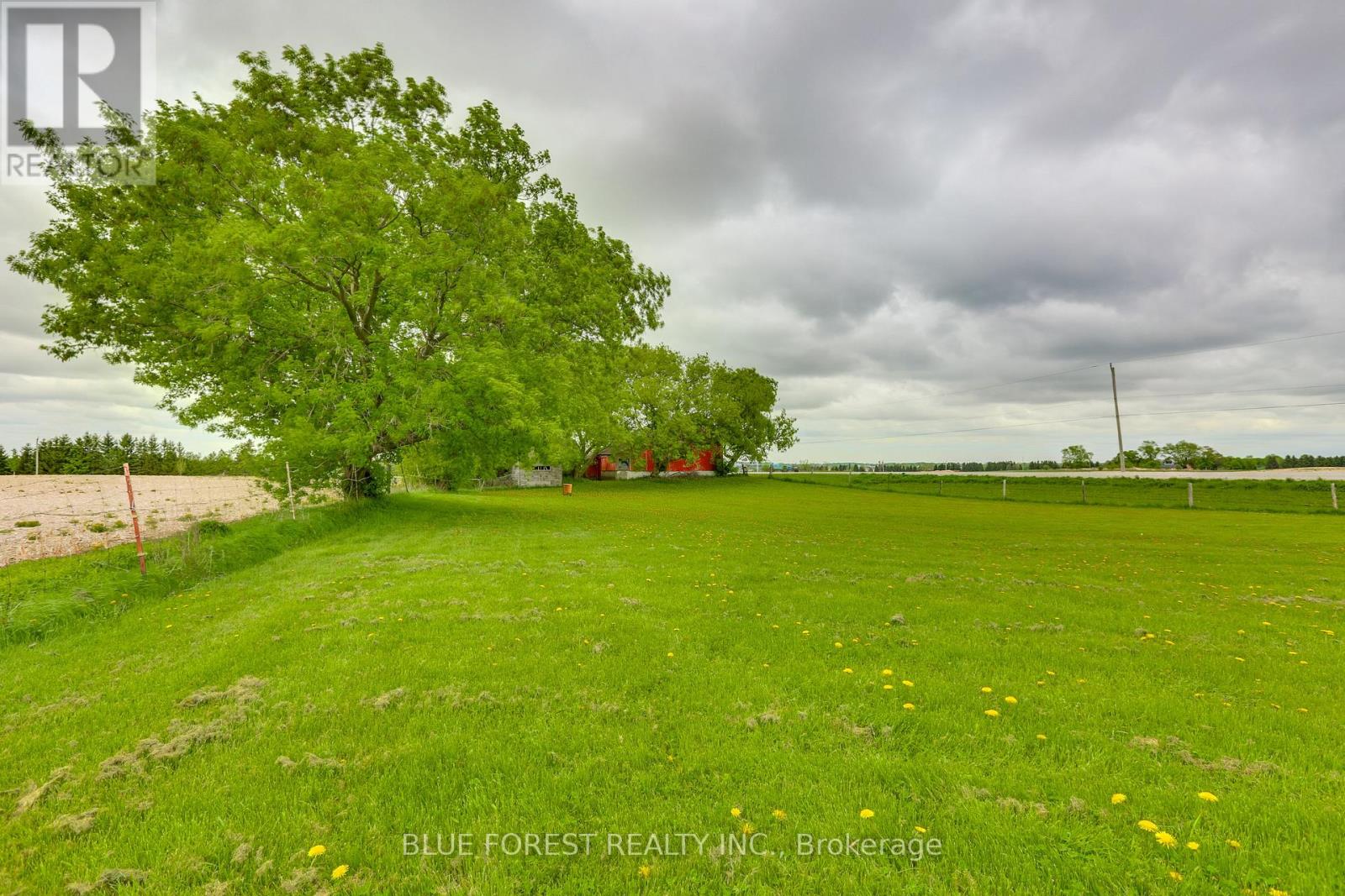 13133 Belmont Road, Central Elgin, Ontario  N0L 1B0 - Photo 7 - X12148042