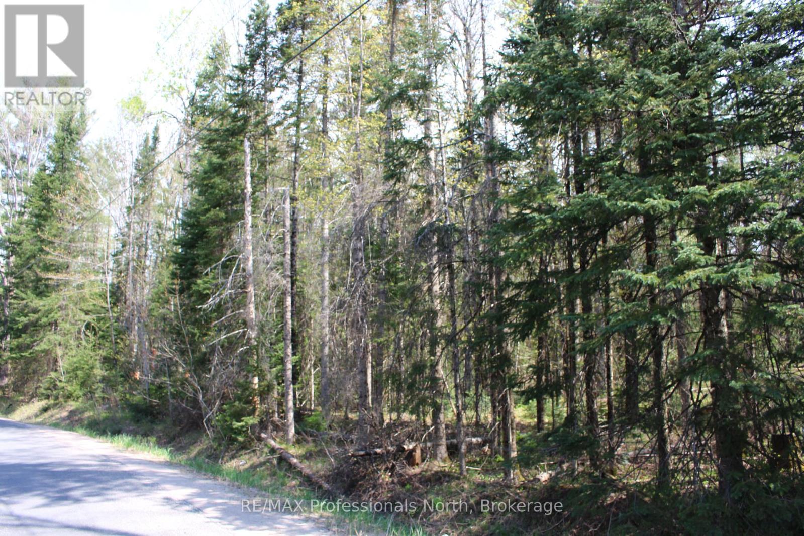 0 Ingoldsby Road, Minden Hills, Ontario  K0M 2K0 - Photo 3 - X12147975