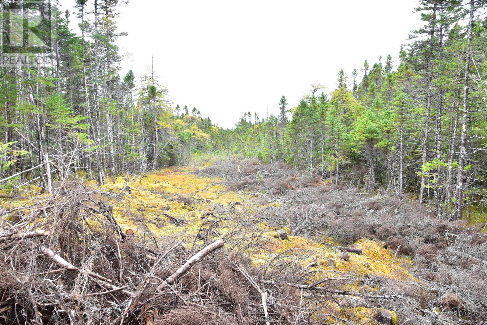Lot 4 Second Pond Road, Shearstown / Butlerville, Newfoundland & Labrador  A0A 1G0 - Photo 2 - 1285046