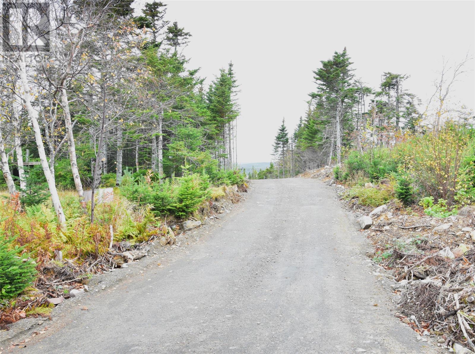 Lot 3 Second Pond Road, Shearstown / Butlerville, Newfoundland & Labrador