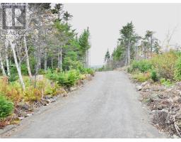 Lot 3 Second Pond Road, Shearstown / Butlerville, Newfoundland & Labrador