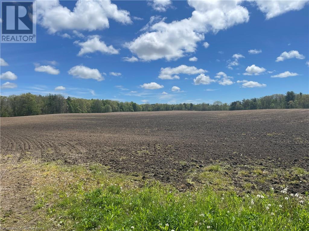 Pt Lt 4 Concession 10 Rd, Lynedoch, Ontario  N4B 2W4 - Photo 1 - 40728747