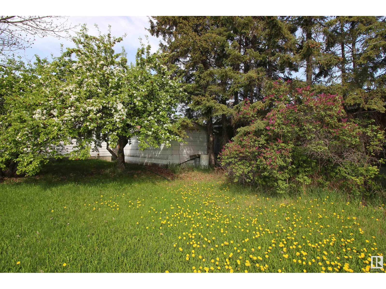 5027 49 St, Warburg, Alberta  T0C 2T0 - Photo 32 - E4436341