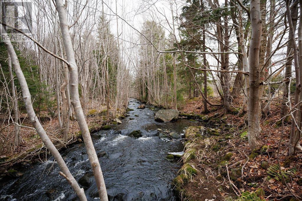 187 Bloomfield Road, Barton, Nova Scotia  B0W 1H0 - Photo 40 - 202508000