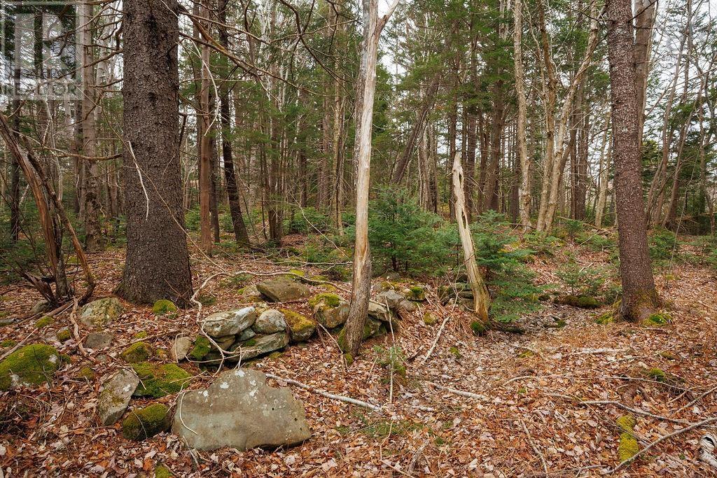 187 Bloomfield Road, Barton, Nova Scotia  B0W 1H0 - Photo 43 - 202508000