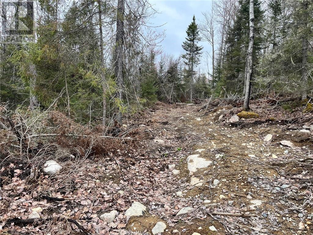 2389 Rabbit Trail Road, Hagar, Ontario  P0M 2G0 - Photo 15 - 2122261