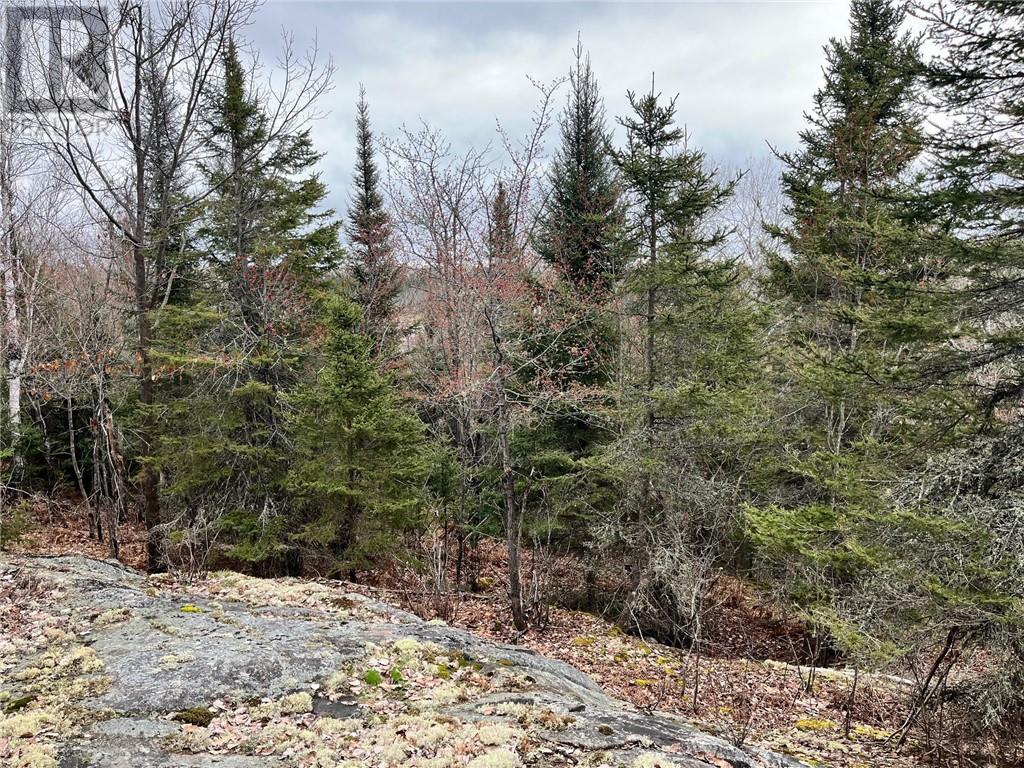 2389 Rabbit Trail Road, Hagar, Ontario  P0M 2G0 - Photo 14 - 2122261