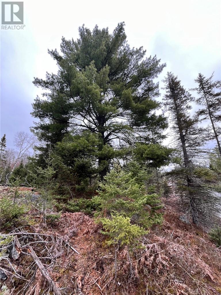 2389 Rabbit Trail Road, Hagar, Ontario  P0M 2G0 - Photo 18 - 2122261