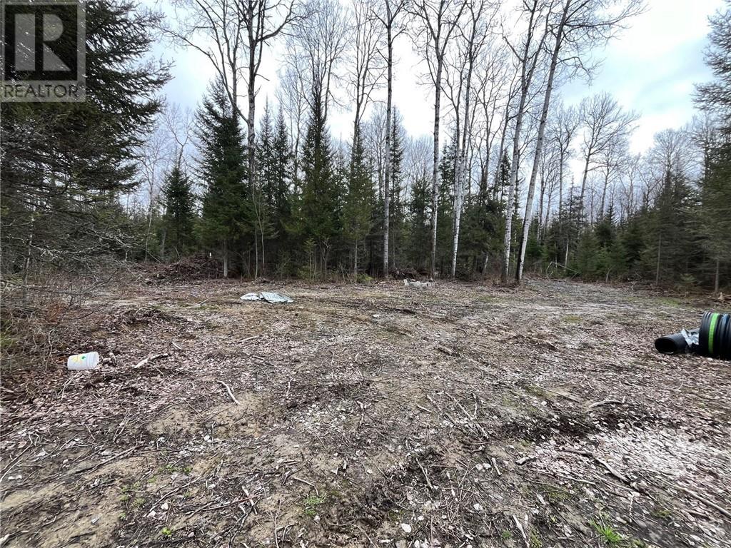 2389 Rabbit Trail Road, Hagar, Ontario  P0M 2G0 - Photo 11 - 2122261