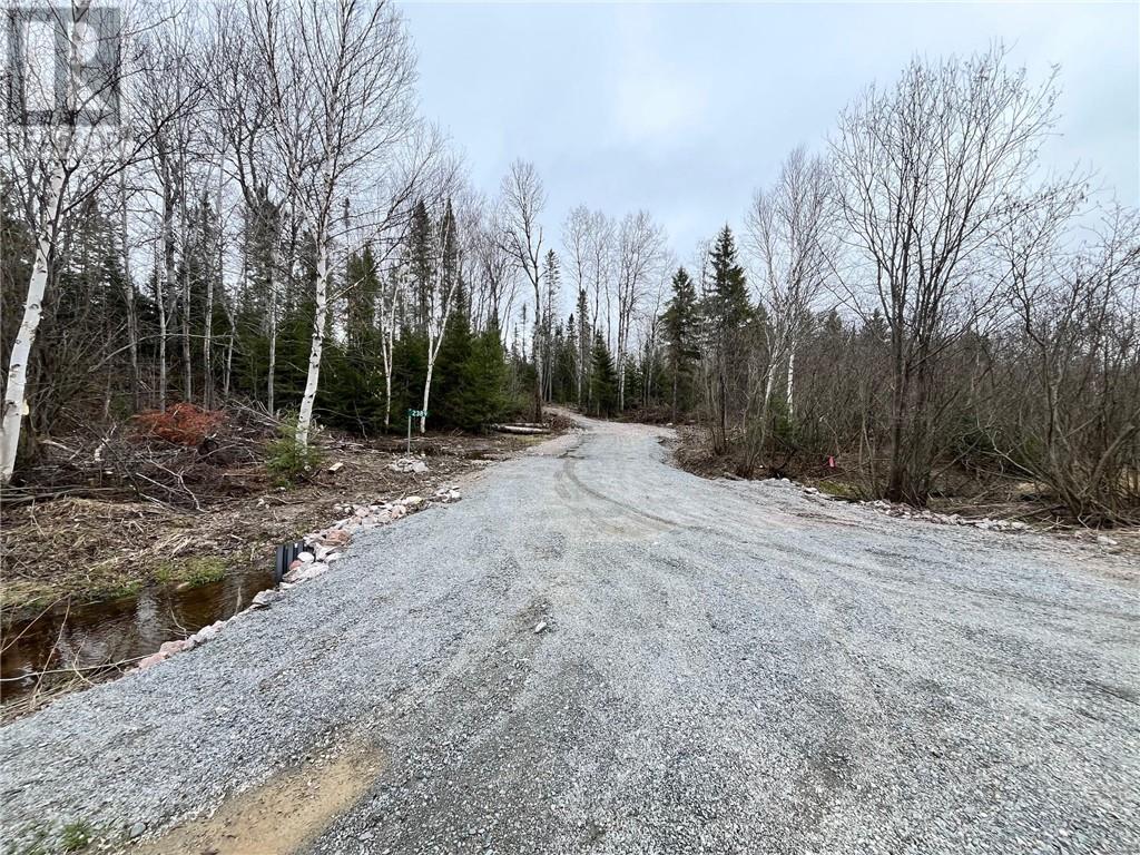 2389 Rabbit Trail Road, Hagar, Ontario  P0M 2G0 - Photo 3 - 2122261