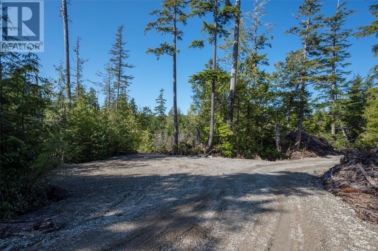Lot 9 South Bamfield Rd S, Bamfield, British Columbia  V0R 1L6 - Photo 8 - 999908