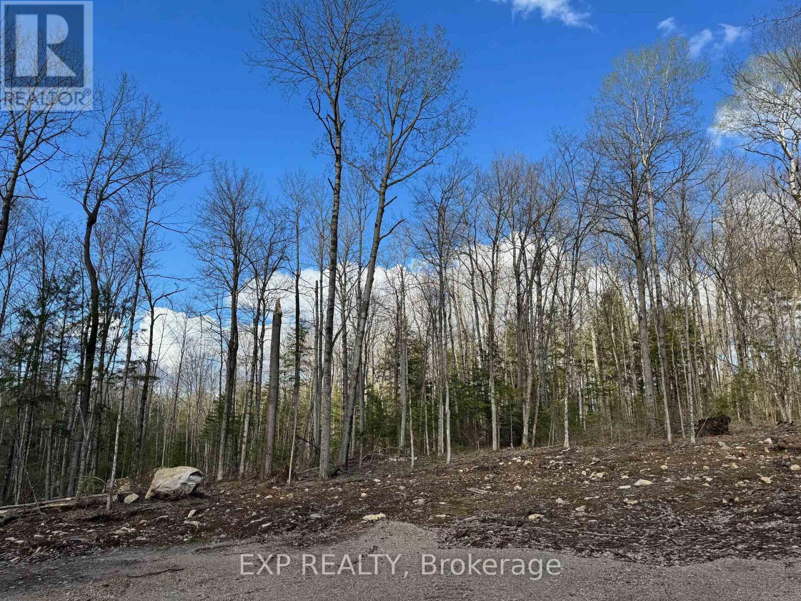 Lot 2 Lakewoods Drive, Madawaska Valley, Ontario  K0J 1B0 - Photo 5 - X12148196