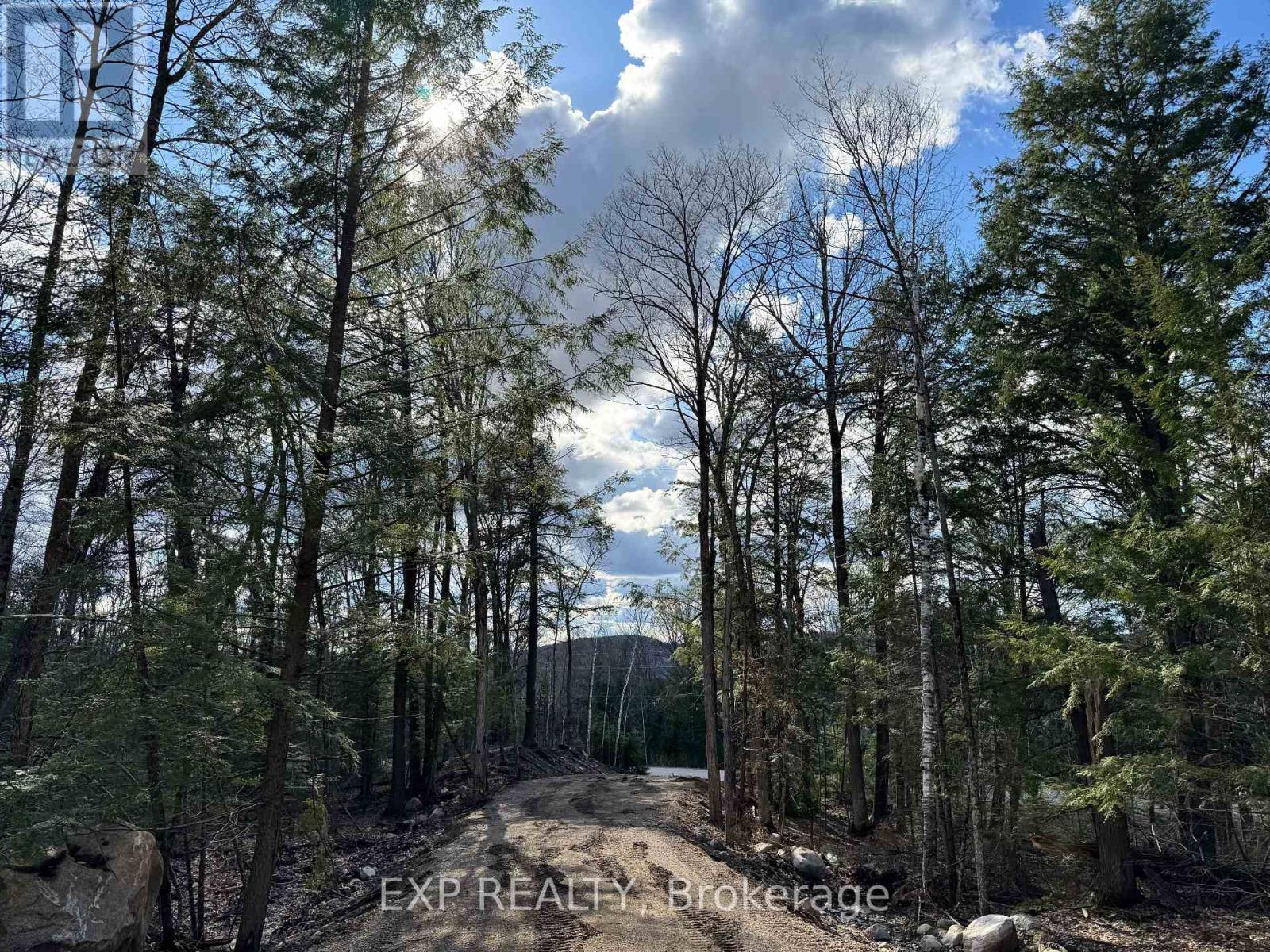 Lot 6 Lakewoods Drive, Madawaska Valley, Ontario  K0J 1B0 - Photo 3 - X12148202