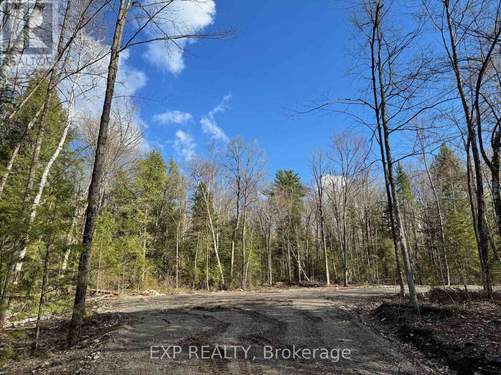Lot 6 Lakewoods Drive, Madawaska Valley, Ontario  K0J 1B0 - Photo 4 - X12148202