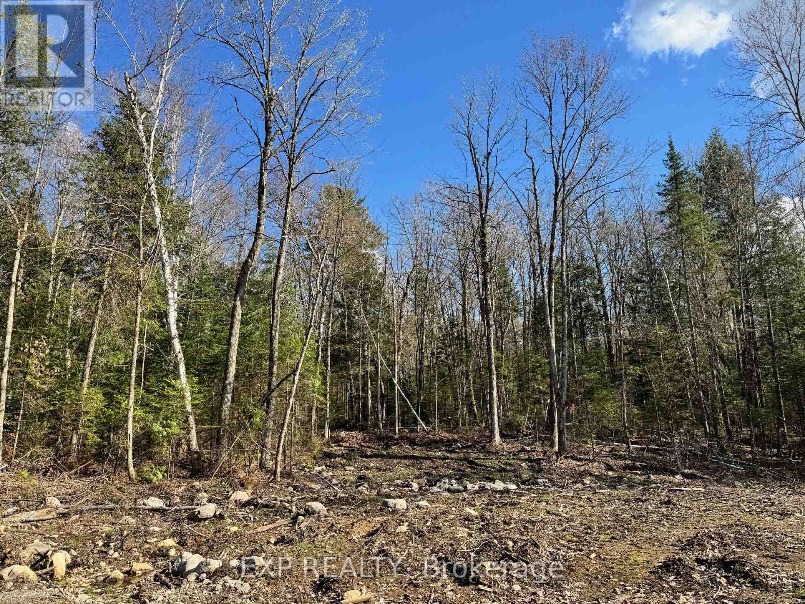 Lot 6 Lakewoods Drive, Madawaska Valley, Ontario  K0J 1B0 - Photo 6 - X12148202