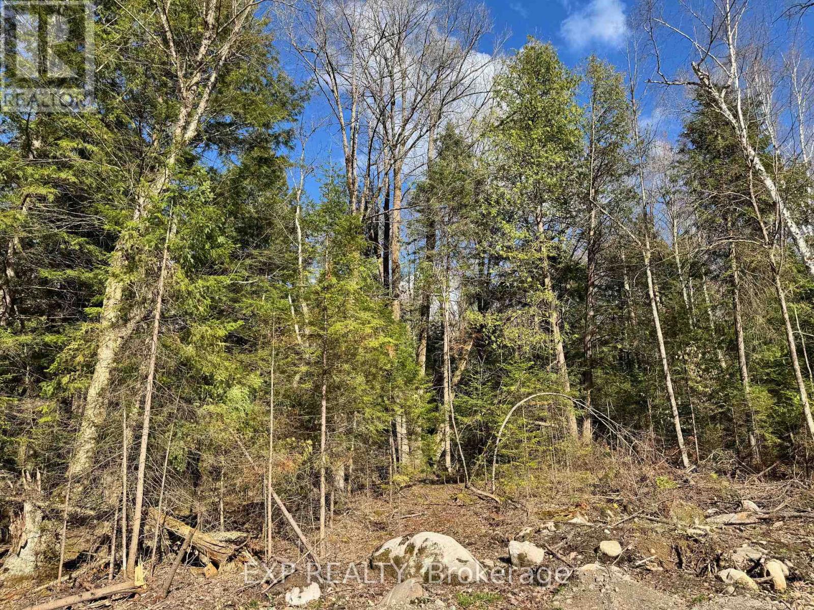 Lot 6 Lakewoods Drive, Madawaska Valley, Ontario  K0J 1B0 - Photo 7 - X12148202