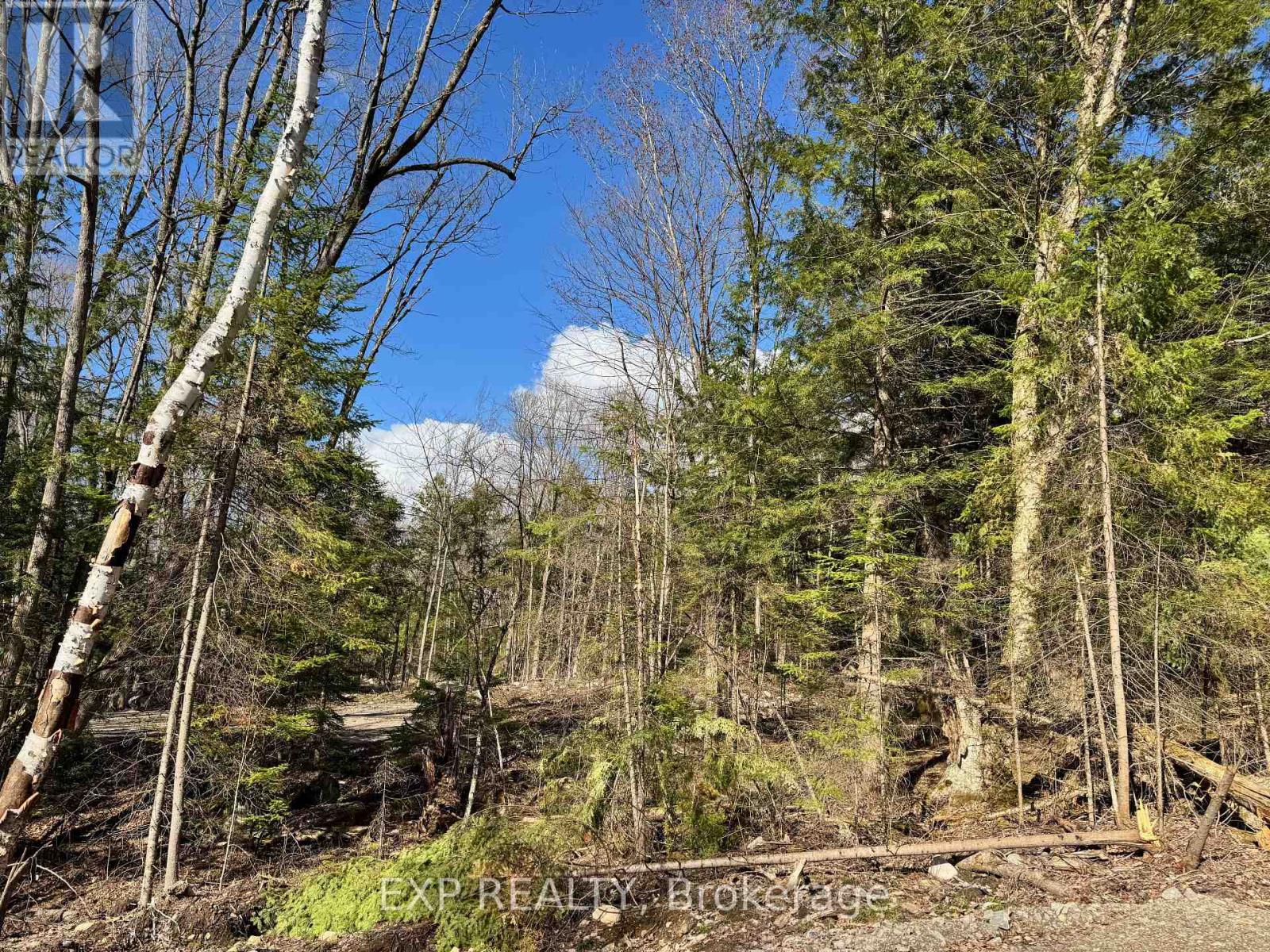 Lot 6 Lakewoods Drive, Madawaska Valley, Ontario  K0J 1B0 - Photo 8 - X12148202