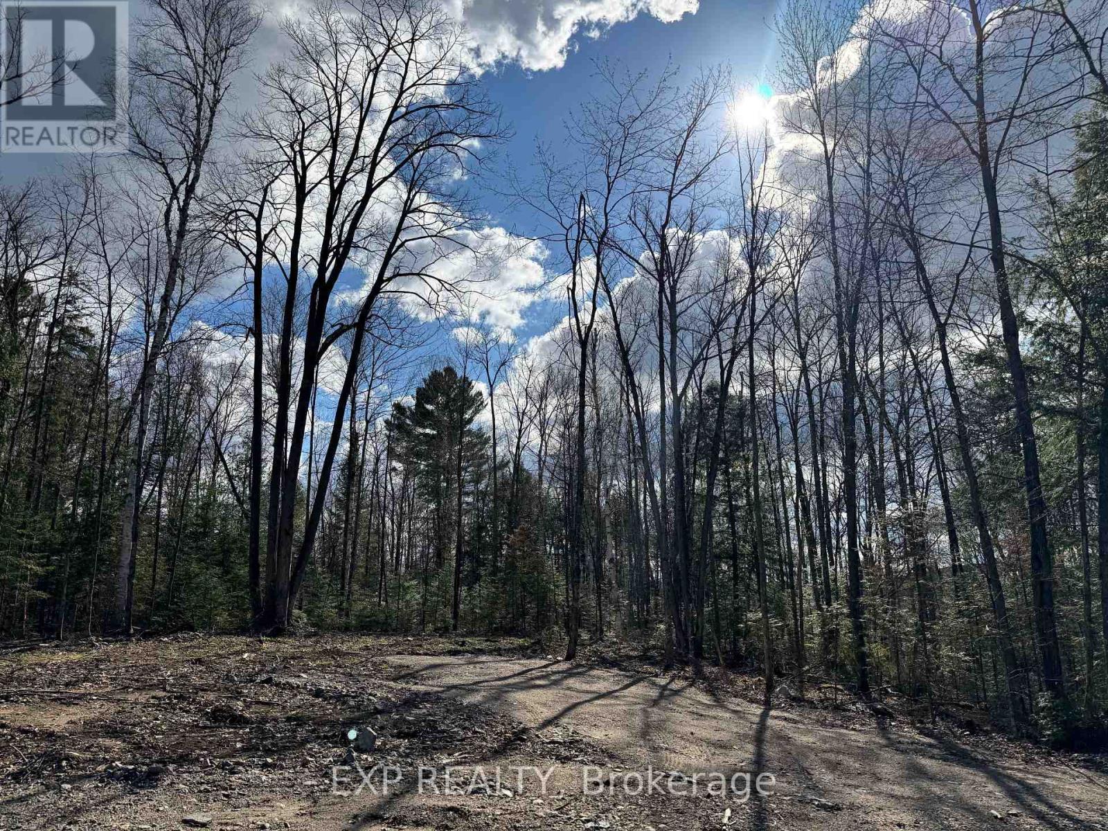 Lot 6 Lakewoods Drive, Madawaska Valley, Ontario  K0J 1B0 - Photo 9 - X12148202