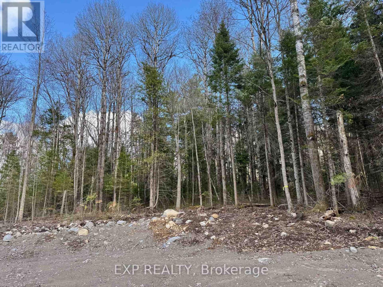 Lot 8 Lakewoods Drive, Madawaska Valley, Ontario  K0J 1B0 - Photo 5 - X12148208