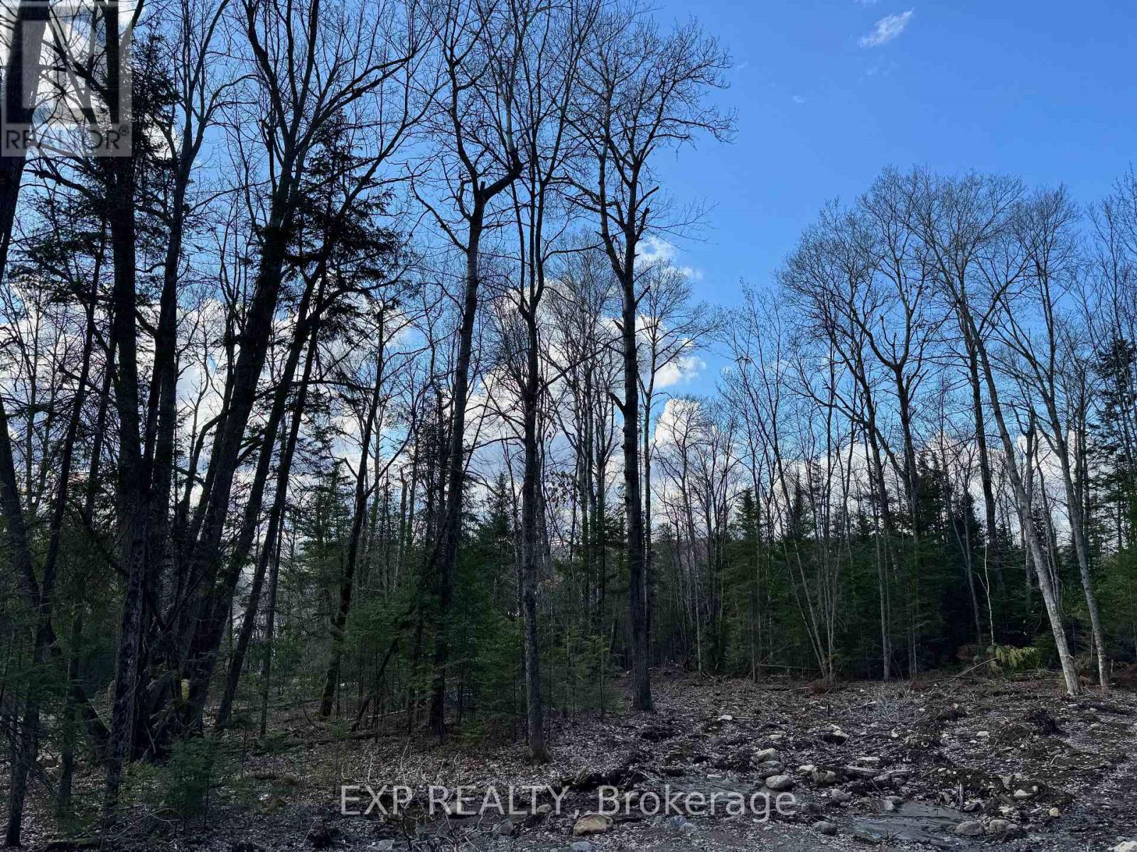 Lot 8 Lakewoods Drive, Madawaska Valley, Ontario  K0J 1B0 - Photo 7 - X12148208