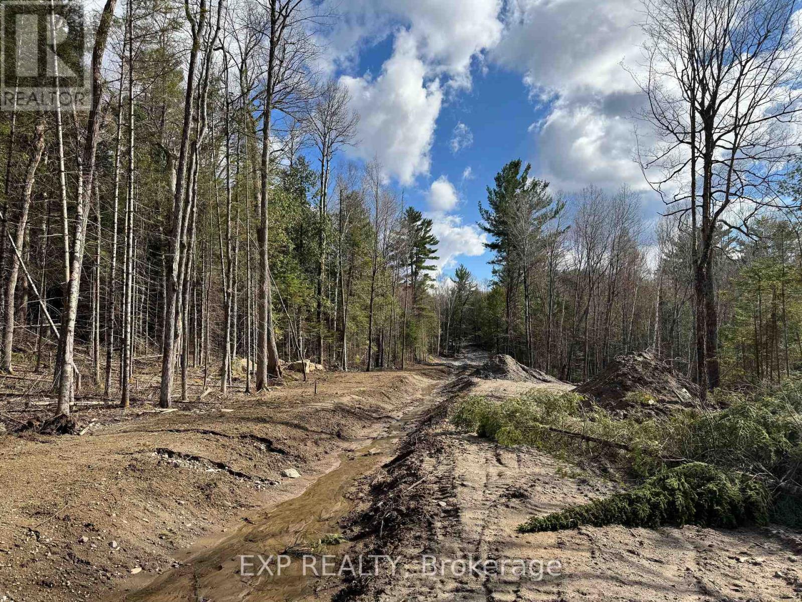 Lot 14 Lakewoods Drive, Madawaska Valley, Ontario  K0J 1B0 - Photo 10 - X12148213