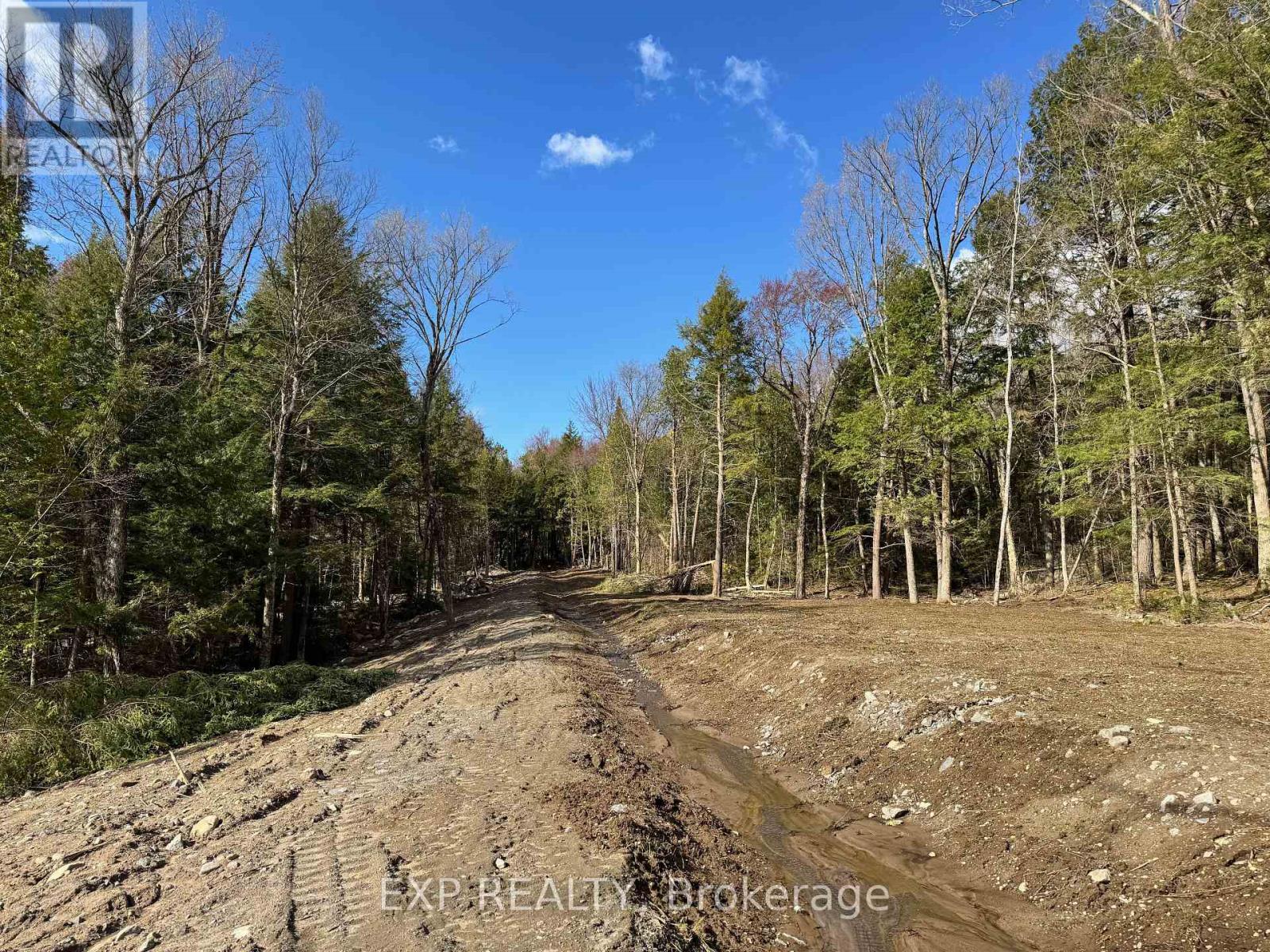 Lot 14 Lakewoods Drive, Madawaska Valley, Ontario  K0J 1B0 - Photo 11 - X12148213