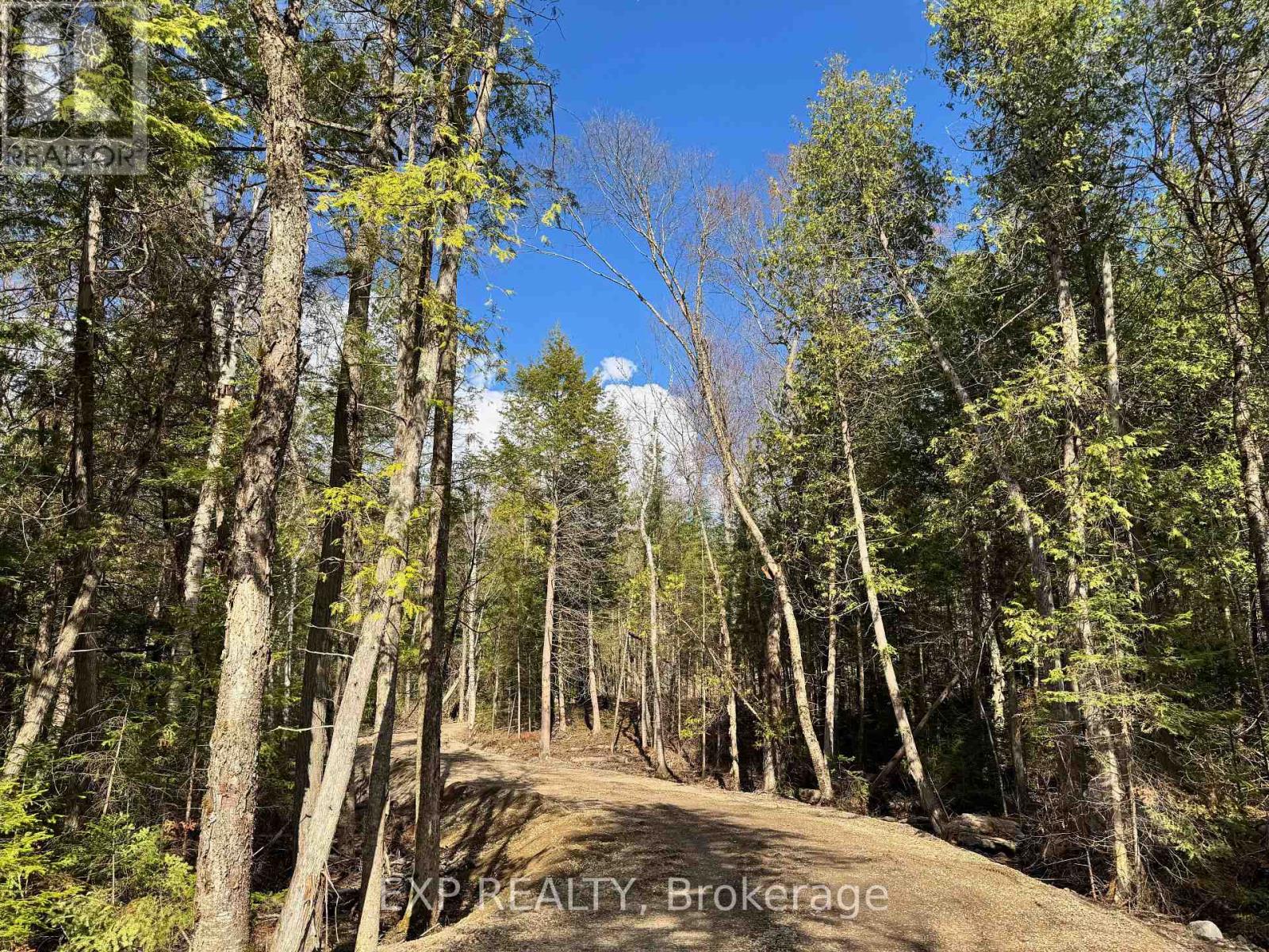 Lot 14 Lakewoods Drive, Madawaska Valley, Ontario  K0J 1B0 - Photo 2 - X12148213