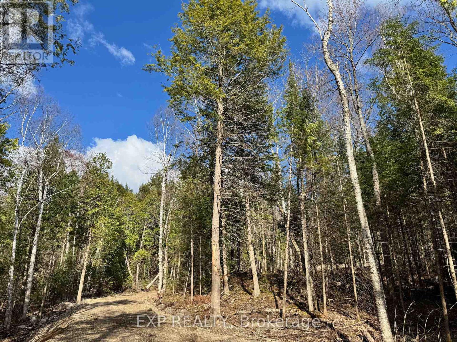 Lot 14 Lakewoods Drive, Madawaska Valley, Ontario  K0J 1B0 - Photo 3 - X12148213