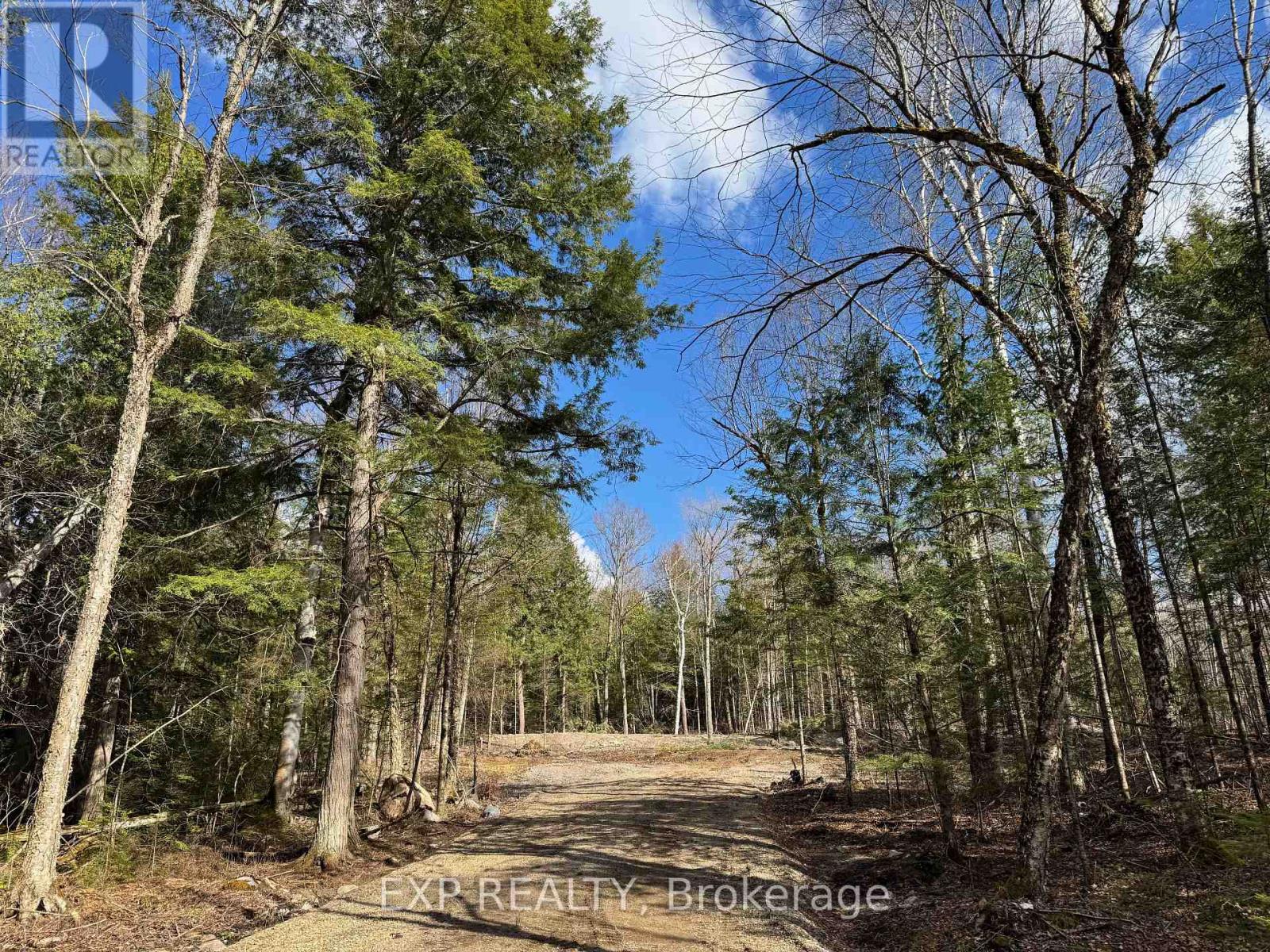 Lot 14 Lakewoods Drive, Madawaska Valley, Ontario  K0J 1B0 - Photo 4 - X12148213