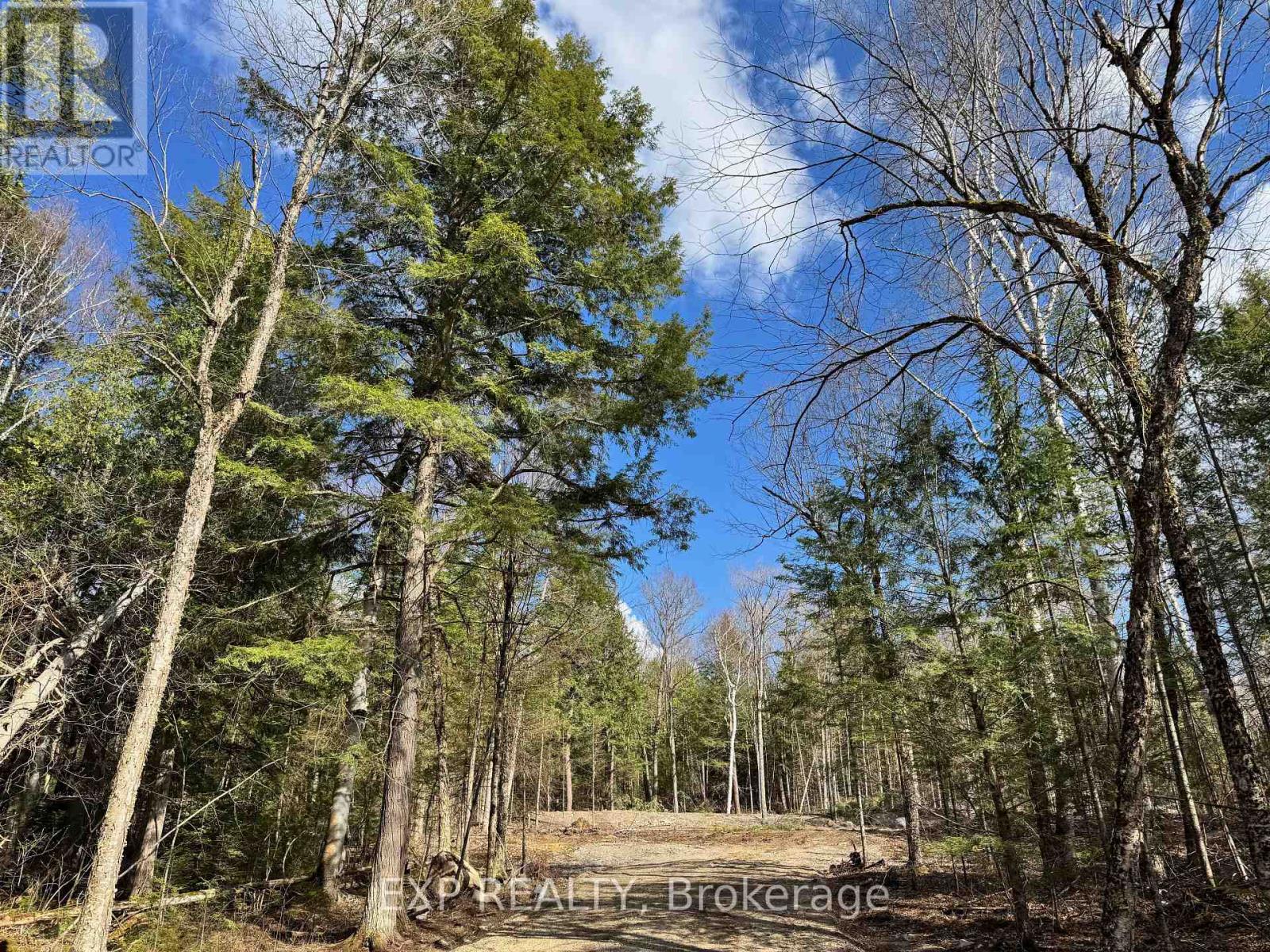 Lot 14 Lakewoods Drive, Madawaska Valley, Ontario  K0J 1B0 - Photo 5 - X12148213