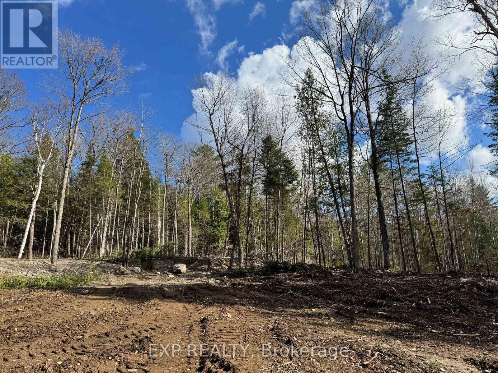 Lot 14 Lakewoods Drive, Madawaska Valley, Ontario  K0J 1B0 - Photo 6 - X12148213