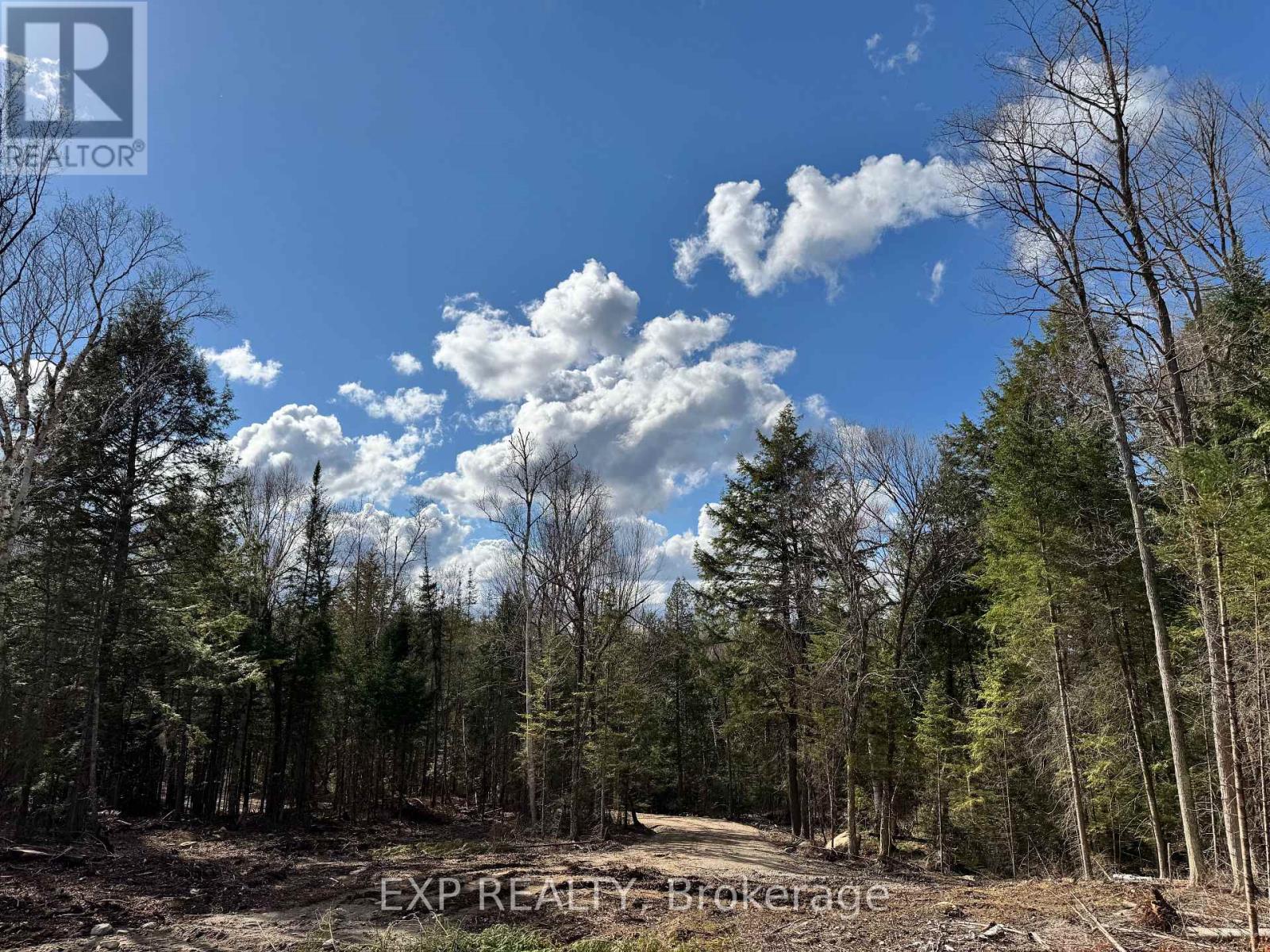 Lot 14 Lakewoods Drive, Madawaska Valley, Ontario  K0J 1B0 - Photo 7 - X12148213