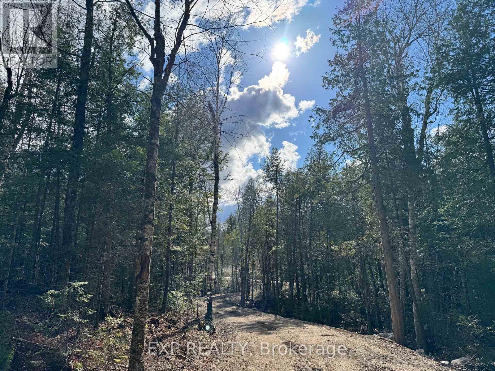 Lot 14 Lakewoods Drive, Madawaska Valley, Ontario  K0J 1B0 - Photo 8 - X12148213