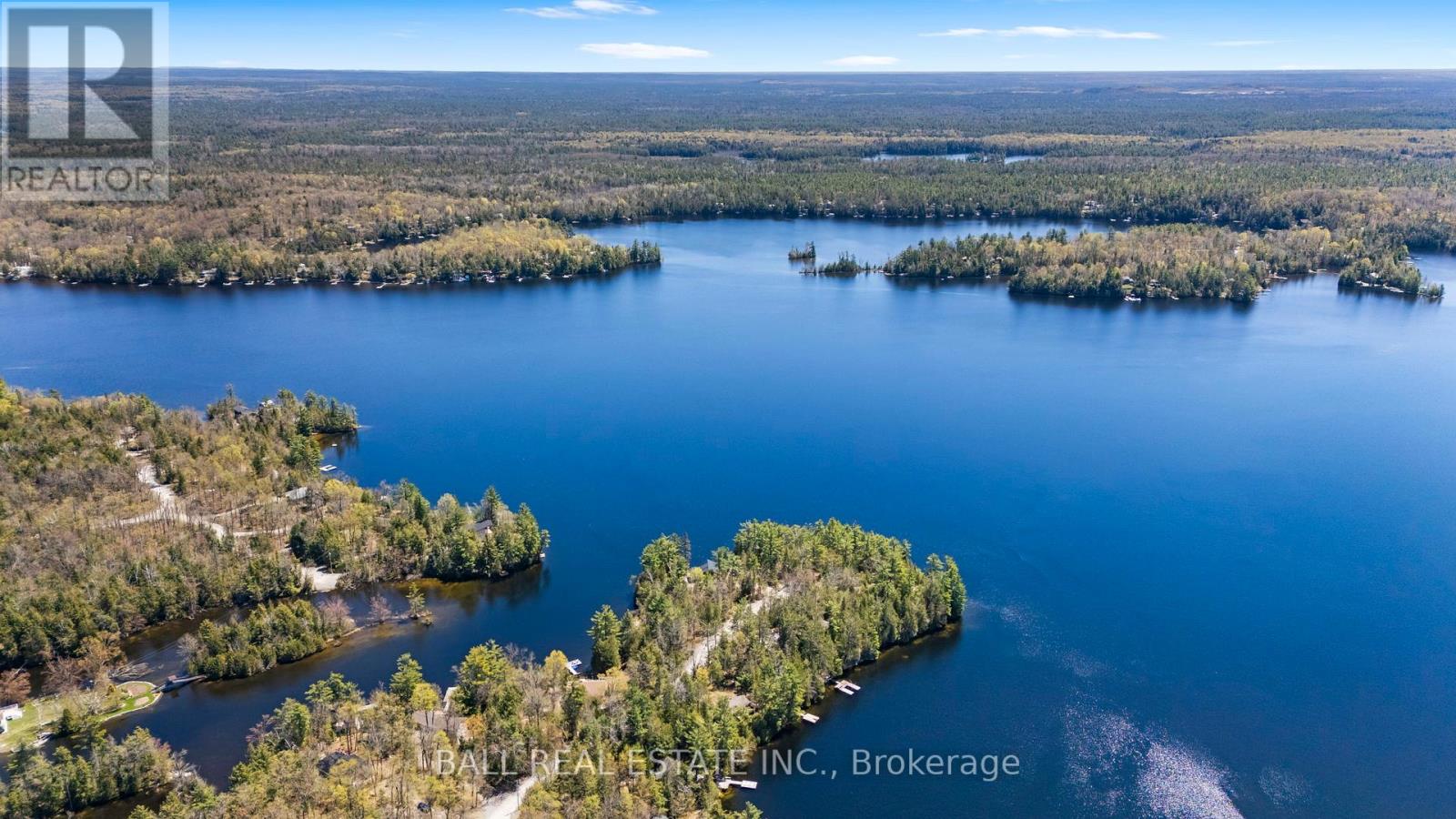 479 East Clear Bay Road, Trent Lakes, Ontario  K0M 2A0 - Photo 48 - X12147945