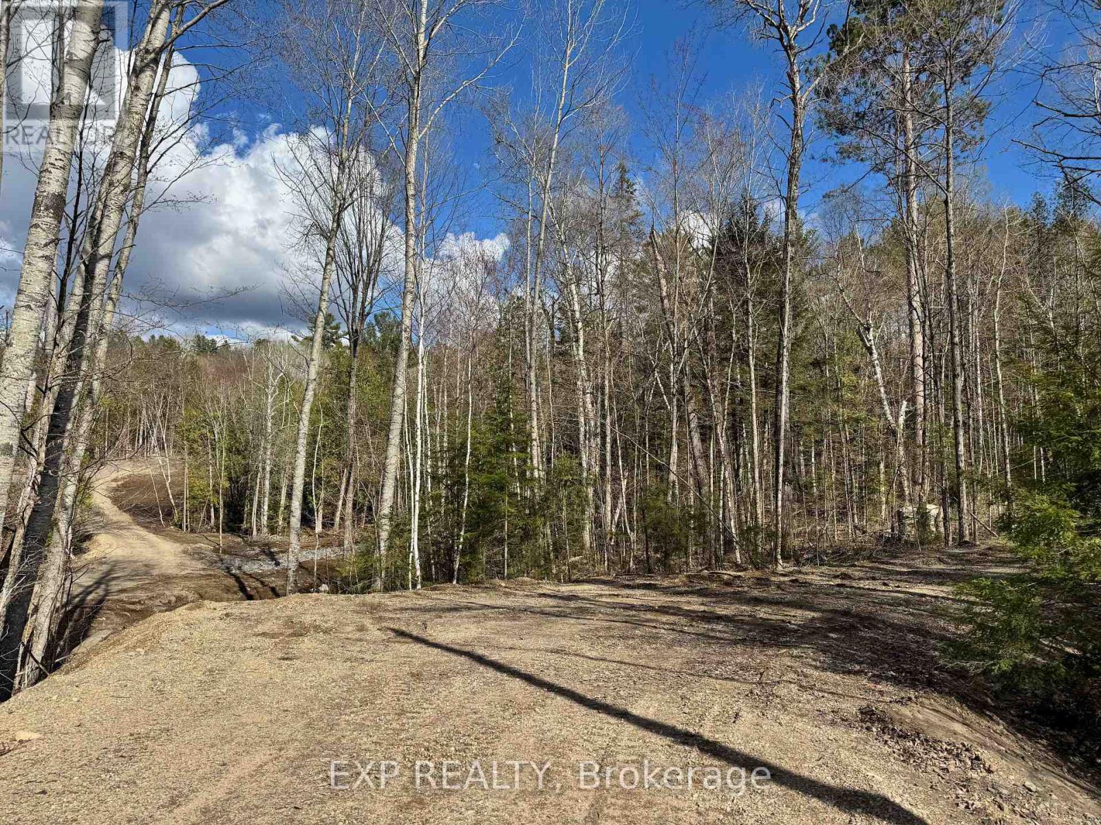 Lot 16 Lakewoods Drive, Madawaska Valley, Ontario  K0J 1B0 - Photo 2 - X12148235