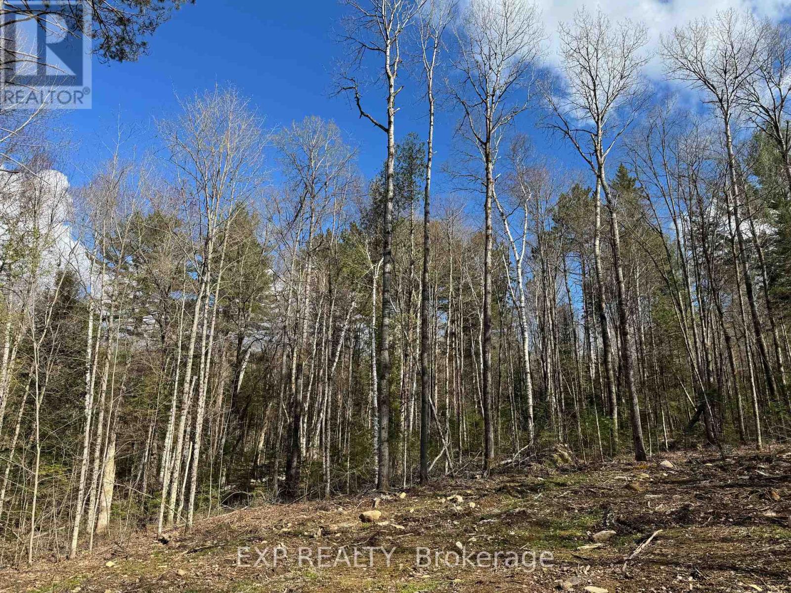 Lot 16 Lakewoods Drive, Madawaska Valley, Ontario  K0J 1B0 - Photo 5 - X12148235