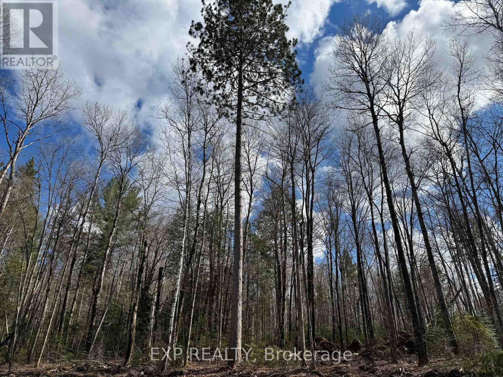 Lot 16 Lakewoods Drive, Madawaska Valley, Ontario  K0J 1B0 - Photo 6 - X12148235