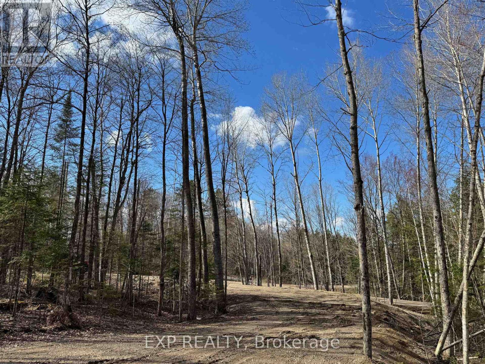 Lot 16 Lakewoods Drive, Madawaska Valley, Ontario  K0J 1B0 - Photo 7 - X12148235
