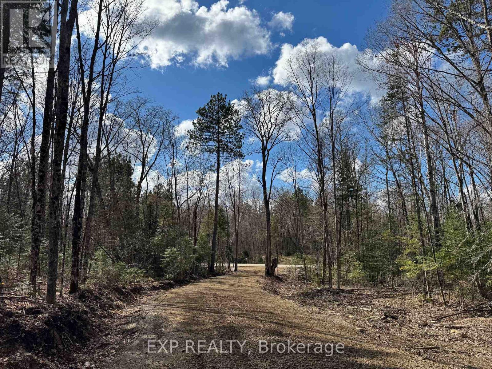 Lot 17 Lakewoods Drive, Madawaska Valley, Ontario  K0J 1B0 - Photo 10 - X12148259